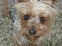 Abby