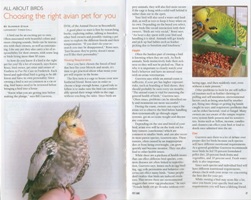 Bird Article