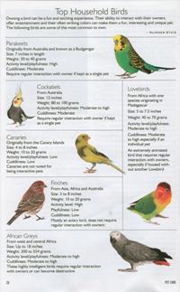 Bird Article