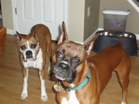 Kaiser & Jady