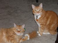 Noah & Aidan