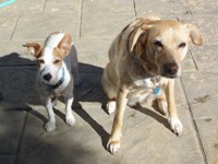 Penny & Bailey