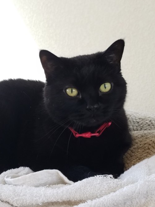 Sabrina