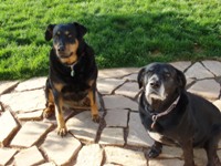 Tess & Sadie
