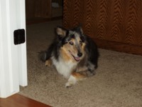 Zoe